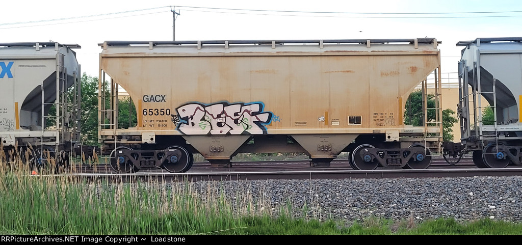 GACX 65350